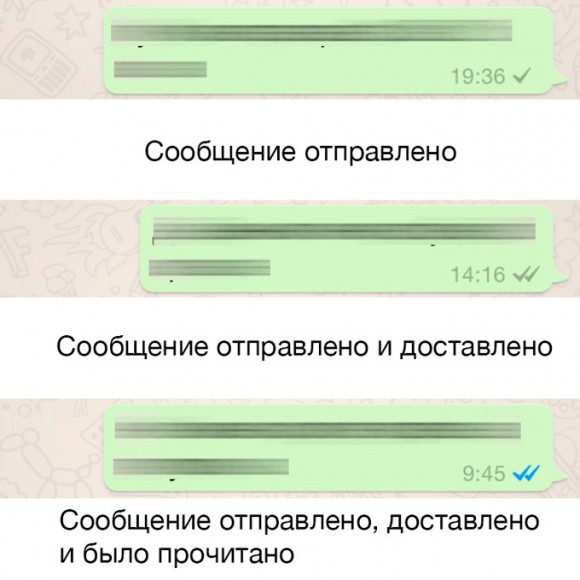 Отчет whatsapp что это