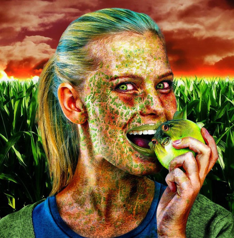 ГМО в продуктах питания и их влияние на здоровье человека