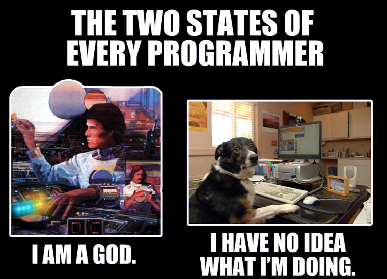 two_states_of_programmer