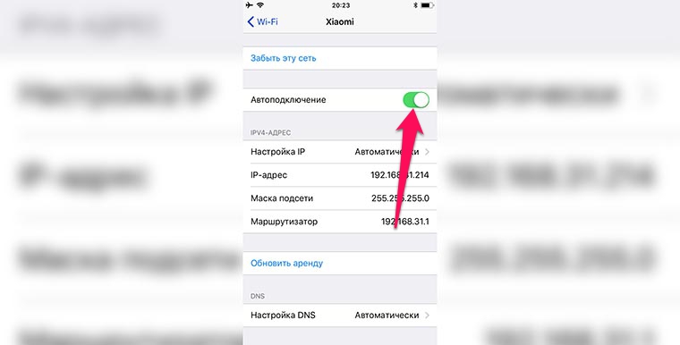 Как посмотреть расход wifi на iphone