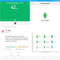 Оценка тела на весах xiaomi что значит