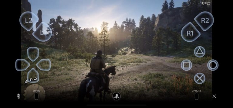 iphone xs max red dead redemption 2 image