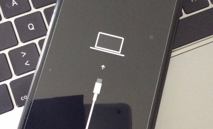 В iPhone 11 вместо Lightning будет USB-C. Пруф!