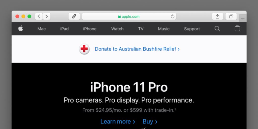 Apple собирает пожертвования на восстановление лесов Австралии после пожаров