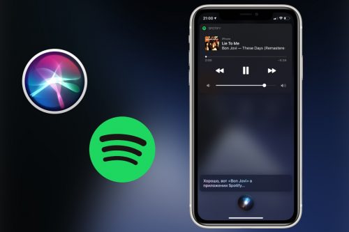 Яндекс станция spotify поддерживает ли