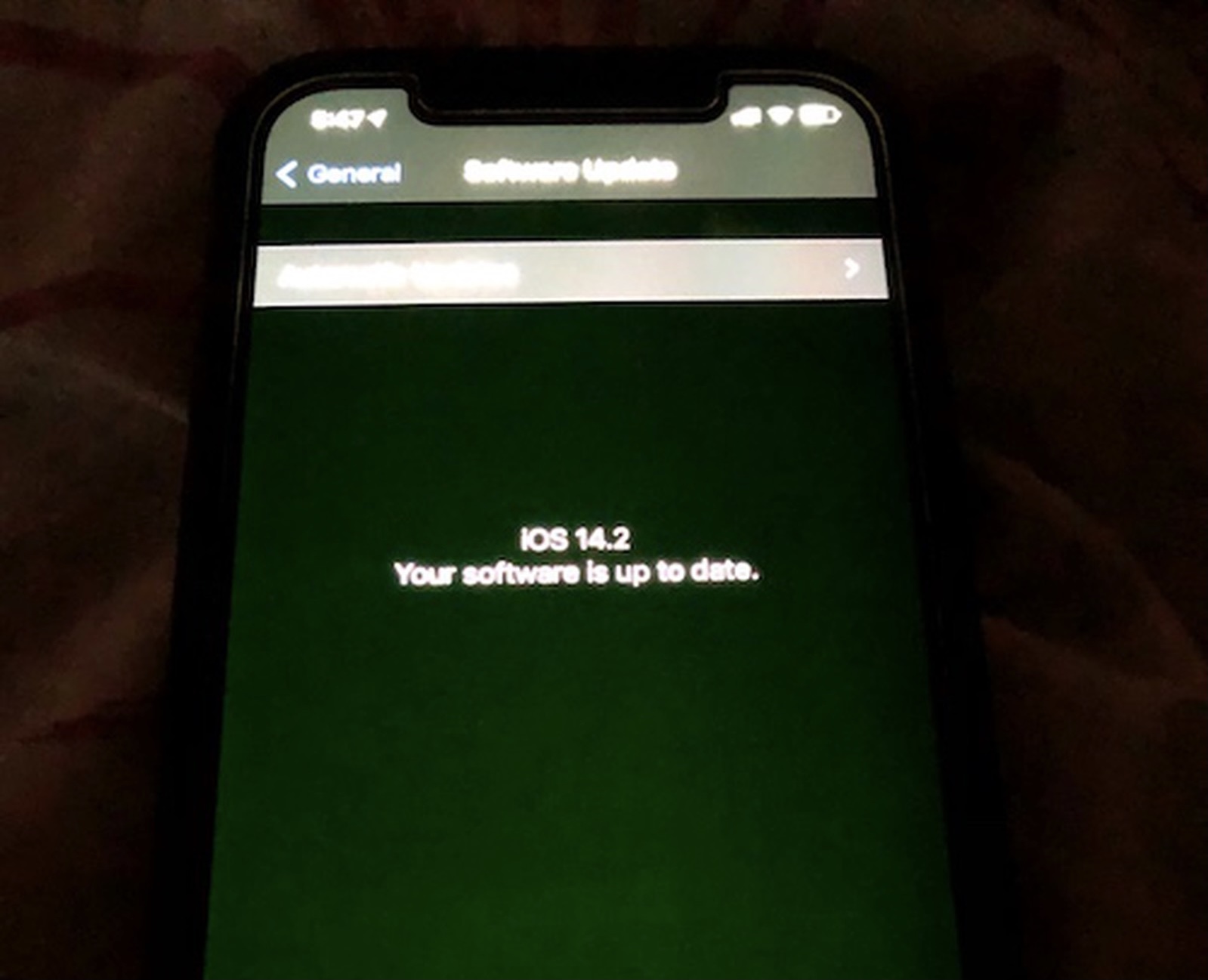 Айфон 13 с зеленым экраном