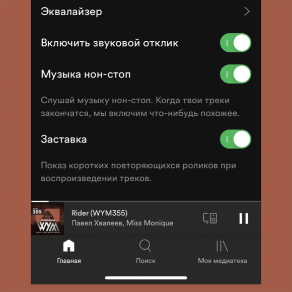 В приложении нельзя перейти на премиум spotify почему