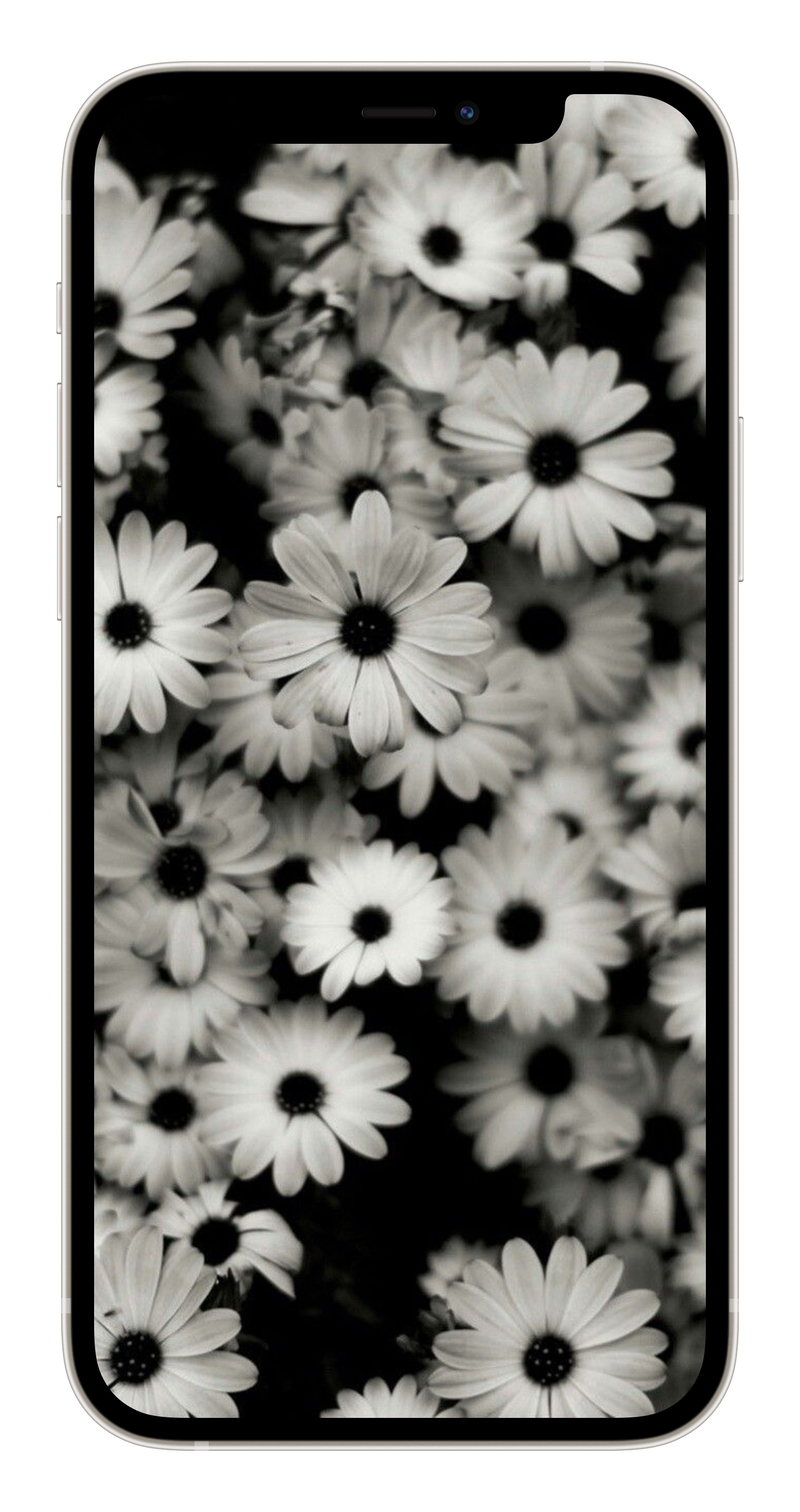 черно белый картинки айфон