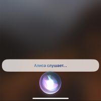 Как запустить Алису вместо Сири на iPhone. Самый быстрый способ, работает у всех