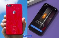 iPhone 15 Pro стоит дешевле, чем iPhone 8 Plus. Как так получилось