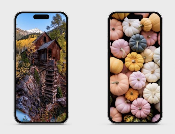 обои и просто красивые картинки для телефона и планшета