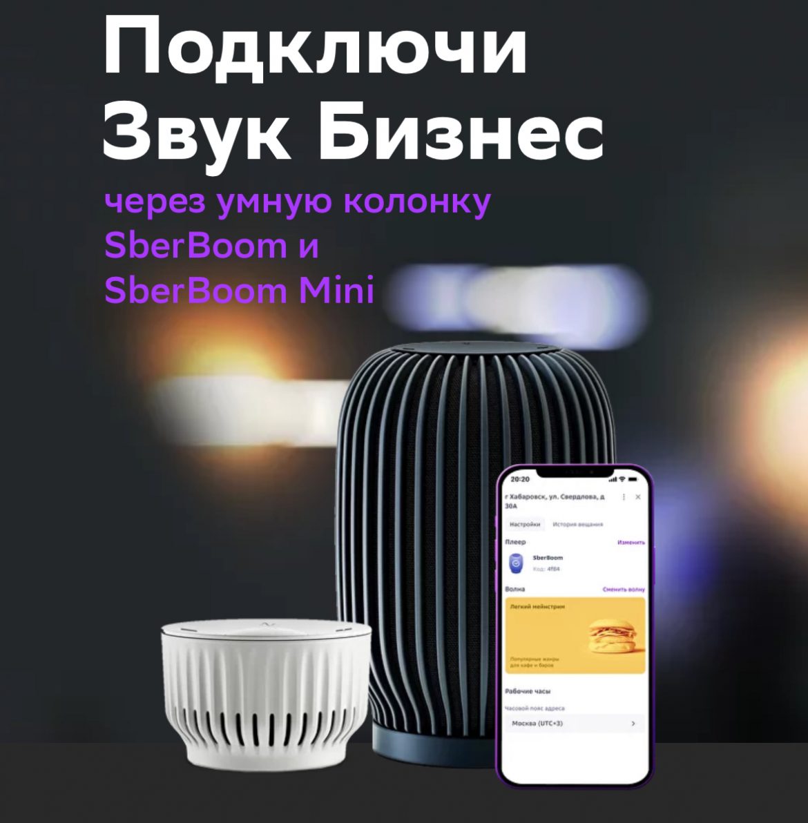 Сбер выпустил специальные колонки SberBoom для владельцев бизнеса