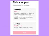 TikTok тестирует платную версию приложения без рекламы