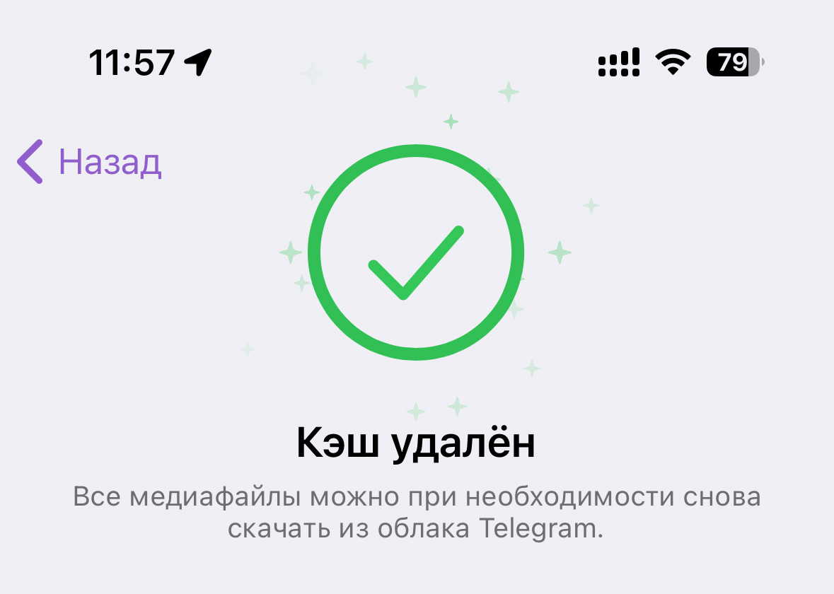 Можно ли выжить с 128 Гб памяти на айфоне в 2024 году. Показываю наглядно