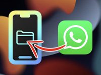 Что делать, если WhatsApp на iPhone занимает много места