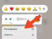 Как включить расшифровку голосовых сообщений в WhatsApp