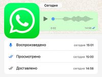 Как в WhatsApp узнать точное время доставки и прочтения сообщений