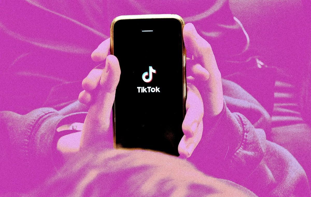 ByteDance попросила суд США временно отложить закон, обязывающий её продать TikTok